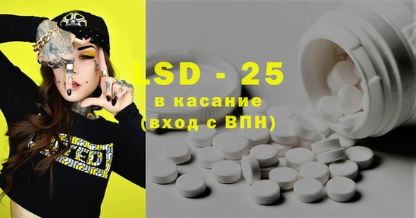 ПСИЛОЦИБИНОВЫЕ ГРИБЫ Каменка