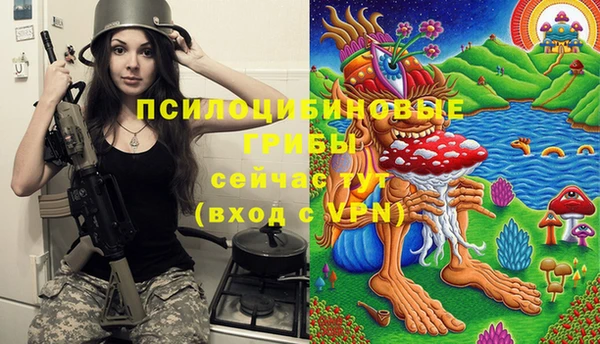 винт Каменск-Шахтинский