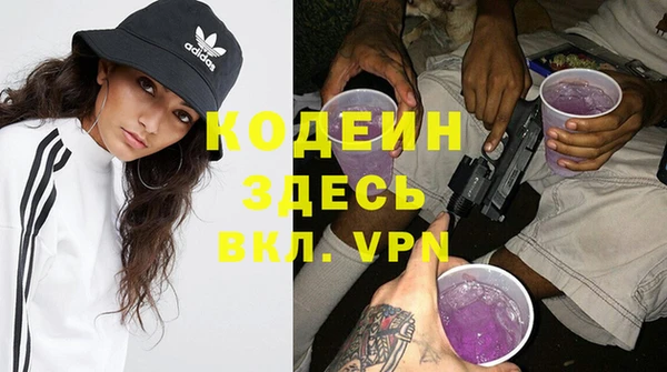 ПСИЛОЦИБИНОВЫЕ ГРИБЫ Каменка