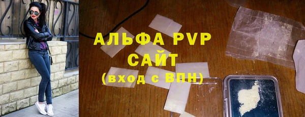 ПСИЛОЦИБИНОВЫЕ ГРИБЫ Каменка