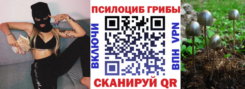 блэк спрут сайт  Новосокольники  Псилоцибиновые грибы мухоморы  как найти закладки 