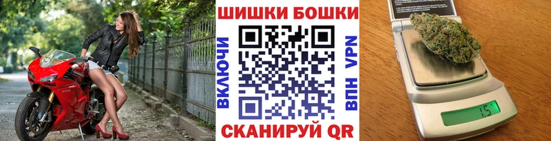МАРИХУАНА план  сколько стоит  Новосокольники 